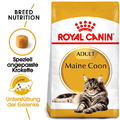 ROYAL CANIN Maine Coon Adult Trockenfutter Katzenfutter 4 kg