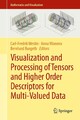 Visualization and Processing of Tensors and Higher Order Descriptors for Multi-V