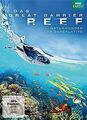 Das Great Barrier Reef - Naturwunder der Superlative von ... | DVD | Zustand gut