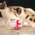 Katzenleckerbissenball Kauen Spielzeug Katze interaktives Spielzeug für drinnen klein/groß