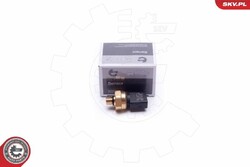 ESEN SKV Sensor, Kraftstoffdruck 17SKV624