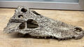 EXO Terra Crocodile Skull-Reptilien-Schlange Versteck-Vivarium Terrarium Dekoration