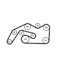 1x Keilrippenriemensatz CONTINENTAL CTAM 6PK2490K1 passend für AUDI