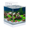 Ciano Garnelen & kleine Fische Aquarium Tank NEXUS Pure 25 & LED Beleuchtung 22L