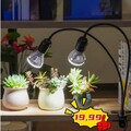 Grow LED Pflanzenlampe Clip-Pflanzenlicht Vollspektrum Gewächshaus 20W Outlets