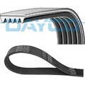 Dayco 5PK1150 Keilrippenriemen für MAZDA ROVER FIAT MG Treibriemen Keilriemen