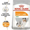 2x8 kg ROYAL CANIN COAT CARE MINI Trockenfutter für kleine Hunde glänzendes Fell