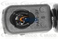 VAICO V10-4426 Abdeckung, Zahnriemen für AUDI SEAT SKODA VW