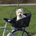 Trixie Fahrradkorb f�r Hunde, untewegs, Hund, Dog, Transport, 35 x 49 x 55 cm