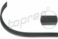 TOPRAN (100 587) Keilriemen Keilrippenriemen für AUDI CITROEN PEUGEOT SEAT