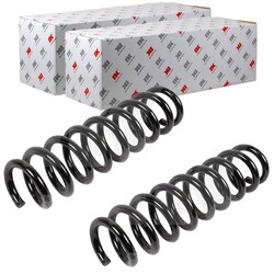 2X NK FAHRWERKSFEDERN SATZ HINTEN LINKS RECHTS PASSEND FÜR BMW 1 FEDERN