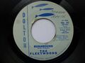 FLEETWOODS 45 'RUNAROUND' USA DOLTON 1960 DREAMY TEEN POPCORN DOO WOP SEHR GUTER ZUSTAND +