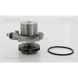 1x Wasserpumpe, Motorkühlung TRISCAN 8600 29065 passend für AUDI MAN SEAT VW