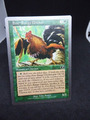 Freiland Huhn-MTG - Magic the Gathering Karte - 1993-98