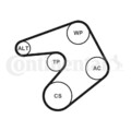 CONTINENTAL CTAM Wasserpumpe + Keilrippenriemensatz 6PK1205WP1