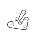 1x Keilrippenriemensatz CONTINENTAL CTAM 6PK1795K2 passend für