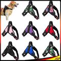 Hundegeschirr Hunde Brustgeschirr verstellbar Gr. XS S M L XL gepolstert Nylon