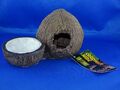 Exo Terra PT3159 Tiki Coconut Hide Höhle Futter oder Wasserschale 