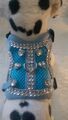 Softgeschirr  Brustgeschirr Hundegeschirr hellblau Glitzer Halsband XS-M Welpen