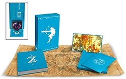 The Legend of Zelda: Breath of the Wild-Creating a Champion Hero's Edition