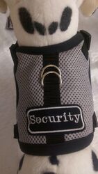 Softgeschirr Brustgeschirr Hundegeschirr Mesh Security Halsband Chihuahua grau
