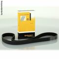 CONTINENTAL CTAM Keilrippenriemen Rippenriemen Keilriemen 4PK850 ELAST