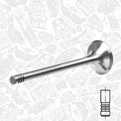ET ENGINETEAM Auslassventil VE0070 für AUDI JEEP 3C5 GOLF 1K1 3C2 SEAT PASSAT VW