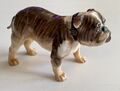 Royal Doulton Figuren Bulldog Royal Figur - selten HN1047