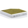 ORIGINAL® Mann-Filter Filter, Innenraumluft Aktivkohle für Audi A6 C7 Avant A6