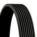 Keilrippenriemen Rippenriemen für Mazda Continental Ctam 8Pk1226 2007 - 2009