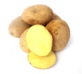 Kartoffel Sunita mehlig deutsche Speisekartoffeln Kartoffeln 1-25 KG Ernte 2025