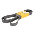 Keilrippenriemen CONTINENTAL 7PK2265