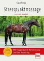 Claus Teslau | Stresspunktmassage nach Jack Meagher | Taschenbuch | Deutsch