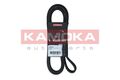 Kamoka (7016163) Keilrippenriemen