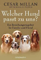 Welcher Hund passt zu uns? | Ein Beziehungsratgeber für Familie und Hund | Buch