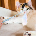  4 Pcs Tunnel Für Wohnungskatzen Katzen-Teaser-Stick Katzenspielzeug Drinnen