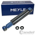 MEYLE ÖLDRUCK STOßDÄMPFER HINTERACHSE PASSEND FÜR MERCEDES-BENZ SPRINTER VW LT
