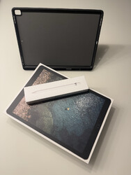 Apple iPad Pro 2.Gen 12,9 Zoll 256GB WLAN Cellular 4G A1671  spacegrau
