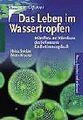 Das Leben im Wassertropfen von Streble, Heinz, Krauter, ... | Buch | Zustand gut