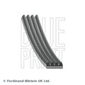 Keilrippenriemen BLUE PRINT AD04R813 für NISSAN HYUNDAI TOYOTA MATRIX PRIMERA XD