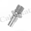 CALORSTAT BY VERNET WS2539 SENSOR, KÜHLMITTELTEMPERATUR FÜR ALFA ROMEO FIAT LANC