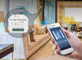 Smart Wifi Rolladenschalter Vorhangschalter Mit Touch Schalter APP Steuerung