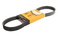 Keilrippenriemen CONTINENTAL 6PK799 ELAST