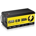 Lithium Batterie LiFePO4 12V 300Ah Akku 15000+ Zyklen Solaranlage Boot RV BMS