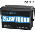 24V 100Ah Lithium Batterie LiFePO4 Akku 12000+ Zyklen Solaranlage Boot RV BMS