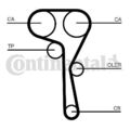 CONTINENTAL CTAM CT1167WP3PRO Wasserpumpe + Zahnriemensatz für AUDI SEAT SKODA