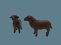 Playmobil Schaf Schafe Dunkelbraun Bauernhof Ranch Stall Tiere Tier