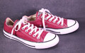 Converse All Star Classic OX Sneaker Unisex Chucks Gr. 37,5 bordeaux rot  BC735