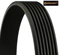 Continental CTAM 7PK990 Keilrippenriemen Keilriemen für Isuzu 