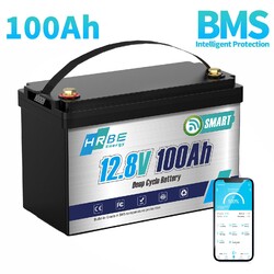 12V 100Ah LiFePO4 Lithium Batterie Bluetooth Akku Solarbatterie 1280Wh 100A BMS
